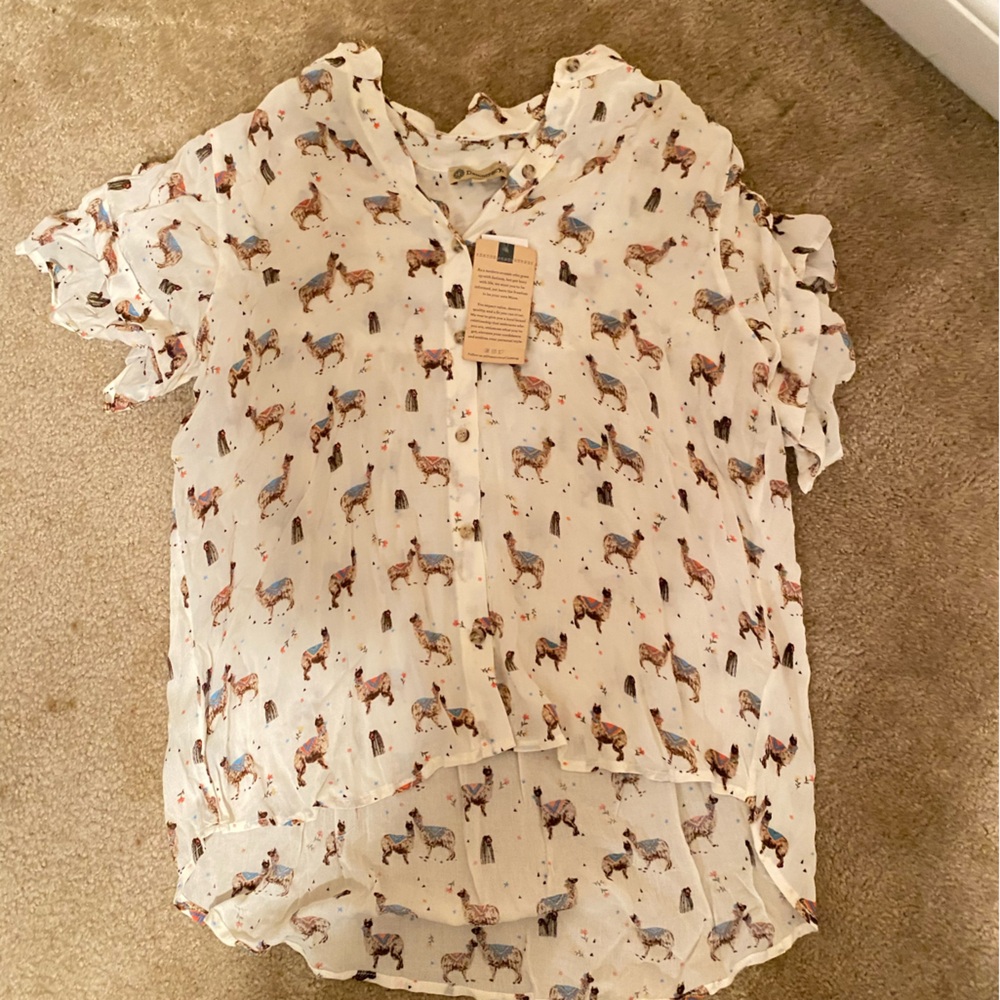 Button Down Shirt